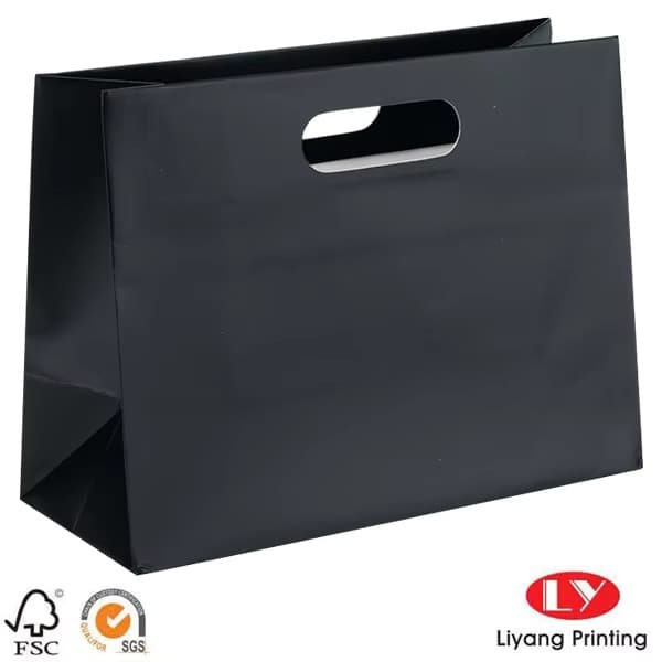 Custom Luxury Die-Cut Handle Wedding Gift Jewelry Paper Bag with Ribbon