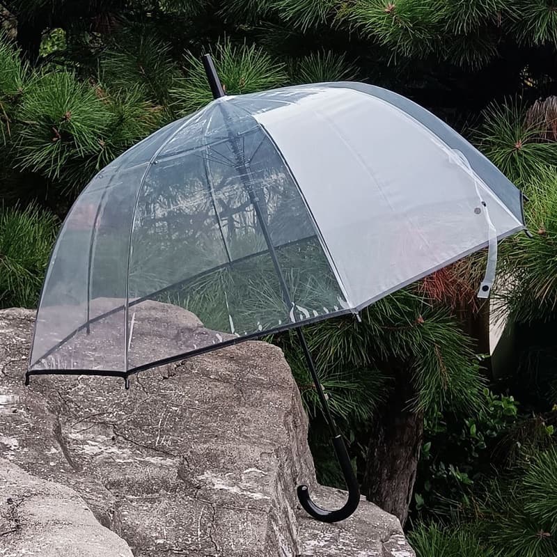 8-Rib Apollo Transparent Umbrella Thickened Long Handle Bubble Umbrella Fresh Style Umbrella Arch Eco-Friendly Transparent Umbrella