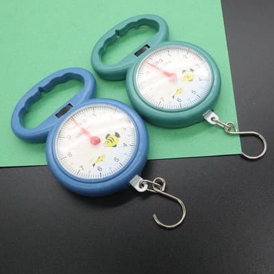 H010C Handheld Spring Scale Physics Class Mechanics Prop Household Spring Scale Two-Yuan Store Yiwu Small Commodity Wholesale