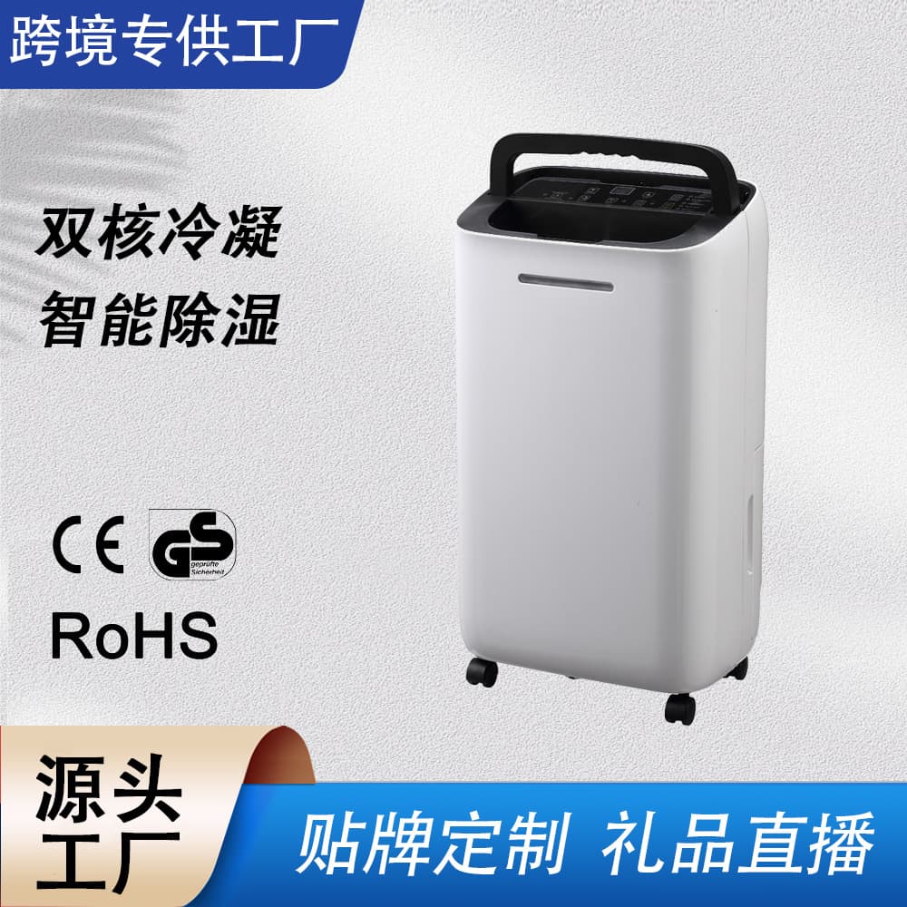 Cross-border Exclusive Dehumidifier, Bathroom Home Moisture Extractor Silent Bedroom Air Dehumidifier Mini Anti-Damp Device