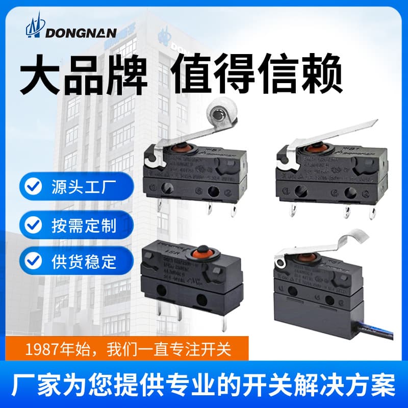WS1 Series Waterproof Switch DONGNAN Southeast Micro Switch Manufacturer Small Appliance Electric Oven Micro Switch