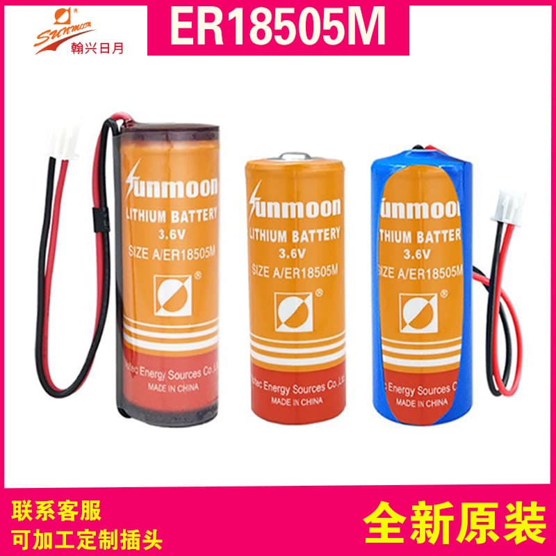 Riyue 3.6V Smart Water Meter Lithium Battery ER18505M for Smoke Detector, Natural Gas Meter, Home Use Jingqi Jingsheng