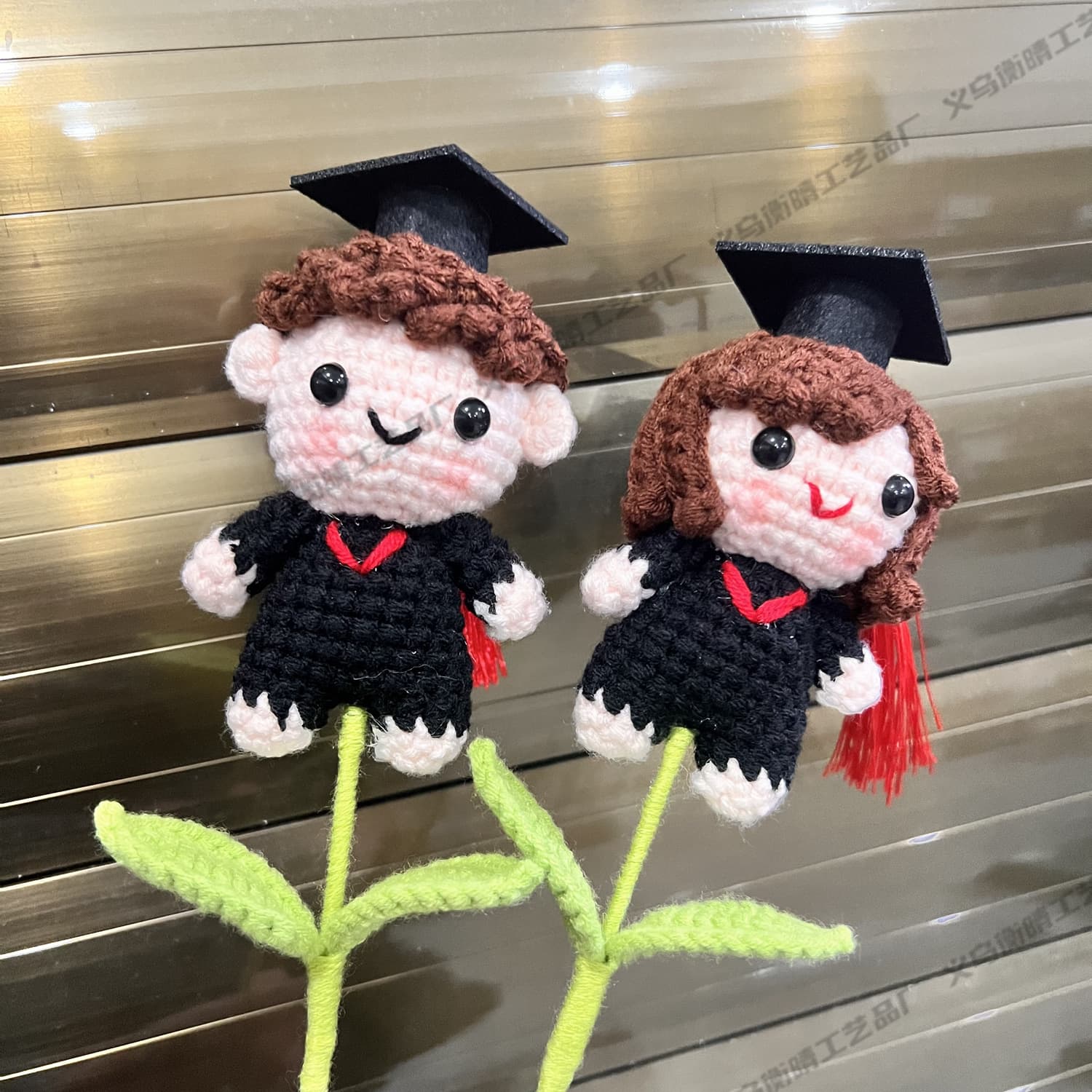 Graduation Season Doctor Hat Boy Girl Doll Animal Bouquet School Handmade Crochet Wool Woven Gift