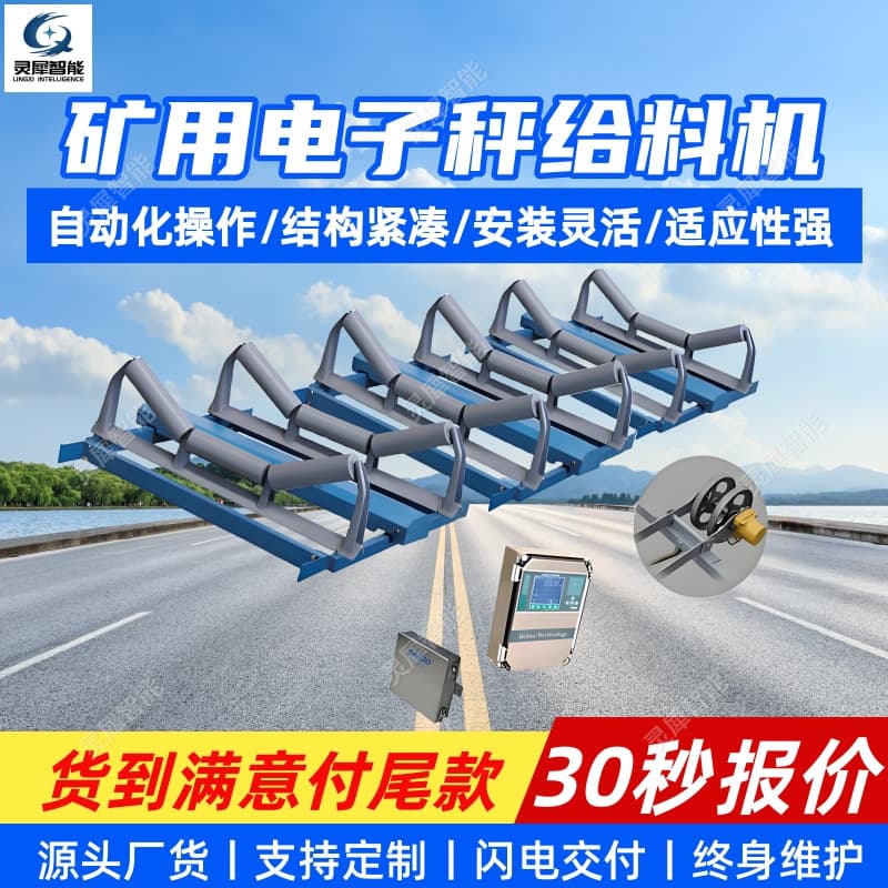 Electronic Scale Feeder Dustproof Waterproof Adjustable Speed Belt Metering Scale ICS-XF Mining Electronic Scale Feeder