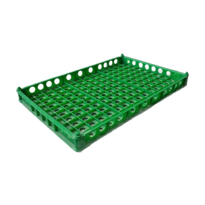Quail egg tray egg tray quail egg transport box plastic basket green white quail egg tray