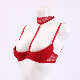 New Cross-Border Lace Chest Support Hollow Halter Neck Sexy Push-Up Bra Sexy Lingerie Anti-Sag Factory Wholesale