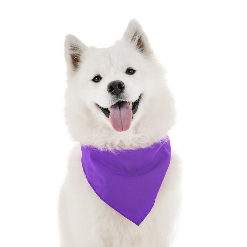 2026 New Cross-border Drop Shipping Pure Cotton Handkerchiefs for Dogs Cross-border Drop Shipping