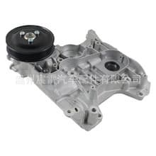 55566893 Oil Pump