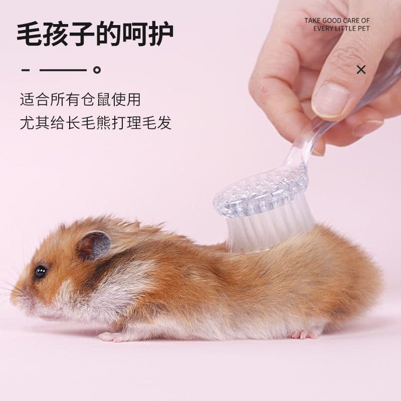 Squirrel comb long hair brush rabbit hedgehog hair brush hamster cleaning guinea pig chinchilla golden bear soft hair combing