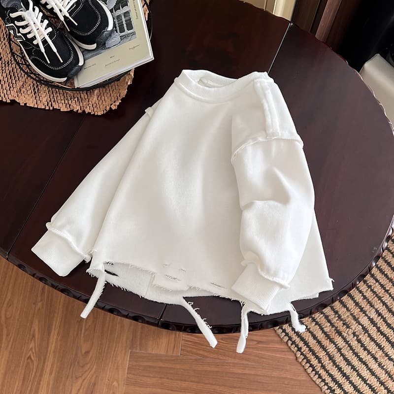 Boys' Stylish Sweatshirt 2025 Winter New Korean Style Fleece-Lined Clothing for Children, Thickened Winter Wear for Young Children