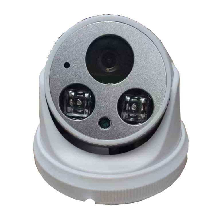 Indoor High Definition Audio Hemispheric Camera POE Powered Network Surveillance Monitor ABS Material Supports Backlight Compensation