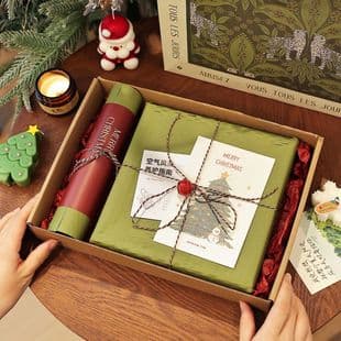 Christmas Gift Air Plant Decorative Painting Living Room Office Desktop Green Plant Decoration Creative Gift for Girlfriend