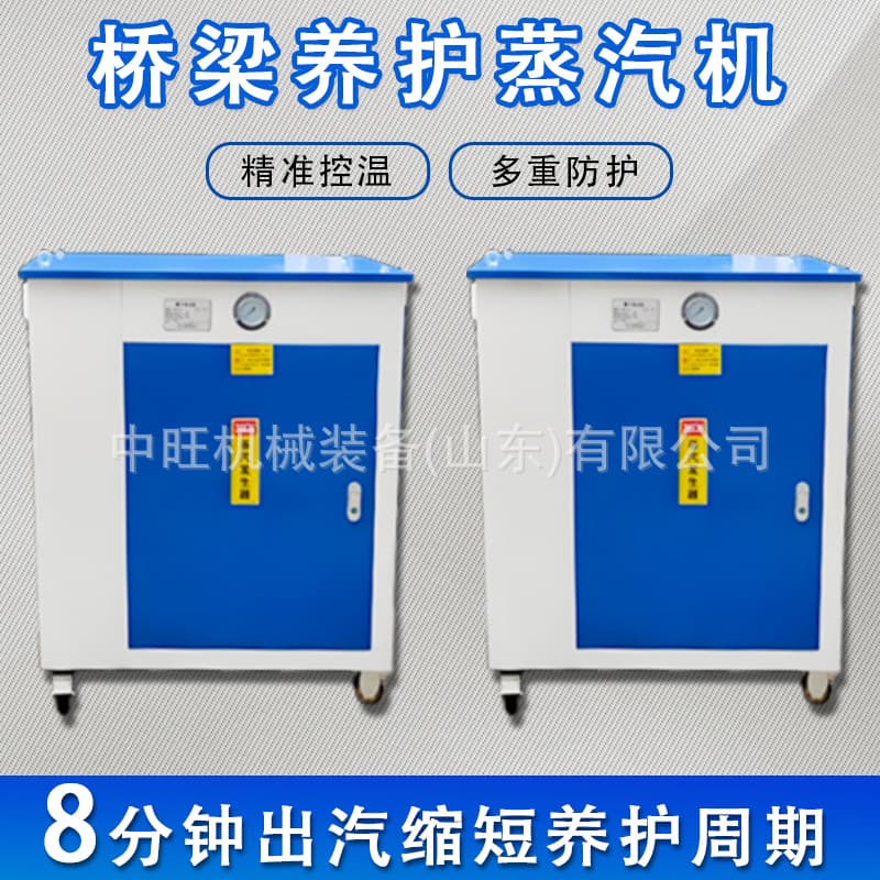 Fuel Bridge Curing Machine Industrial Electric Steam Generator Electric Heating Steam Curing Generator