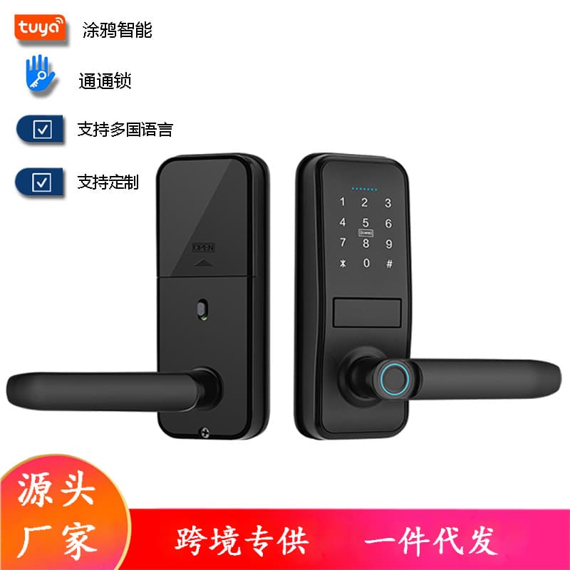 Fingerprint Lock Wooden Door Office Graffiti Smart Lock Household Digital Swipe Lock Sill Lock Half-section Lock Door Password Lock