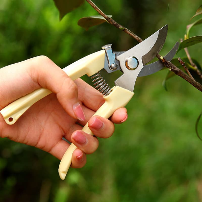 Stainless steel pruning shears, multi-functional gardening shears, orchard flower and fruit picking shears, garden tree branch tools manufacturer