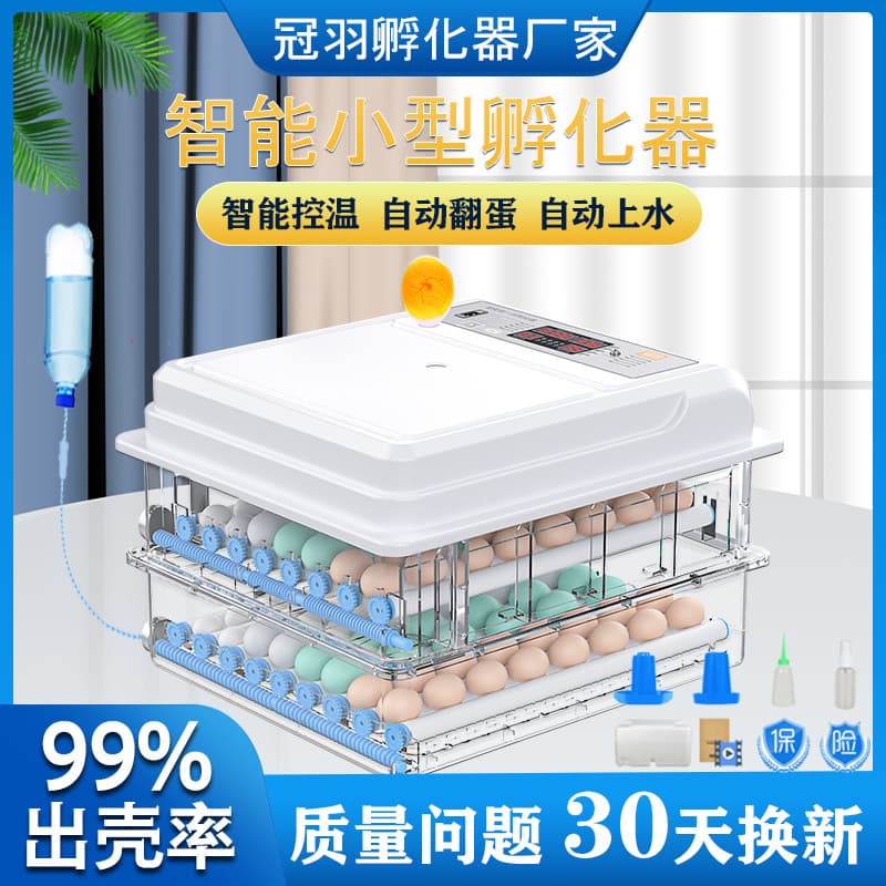 Incubator Small Household Incubation Box Automatic Intelligent Egg Incubator for Chicken Duck Goose Pigeon Quail