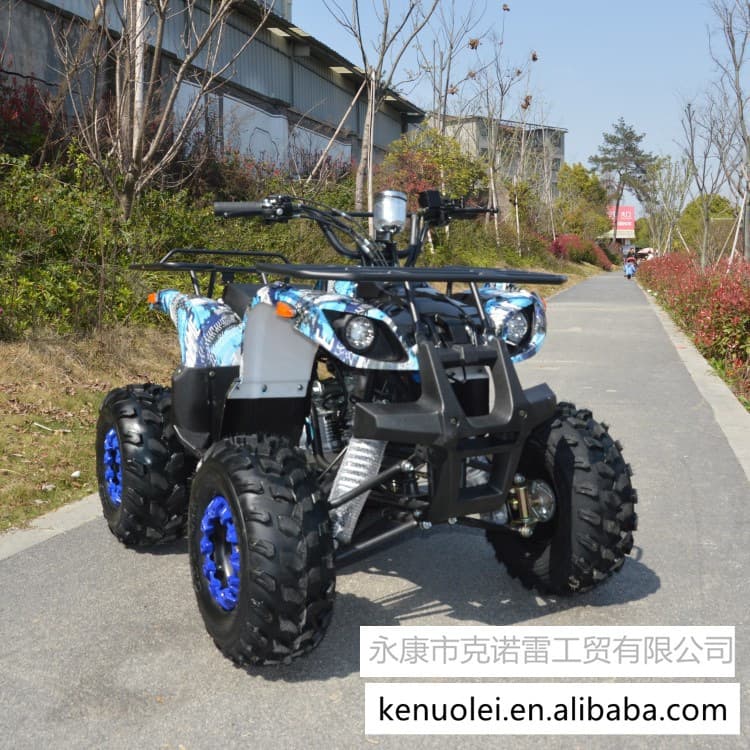 Factory Direct 110CC Sand ATV Four-Wheel Off-Road Vehicle All-Terrain Vehicle Snowmobile ATV