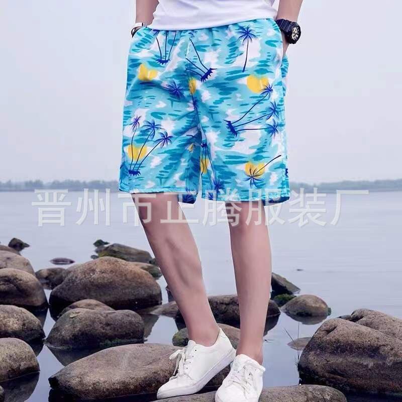 Wholesale Beach Shorts Men's Summer Floral Swim Trunks Export Rafting 5-Inch Shorts Summer Thin Beach Shorts