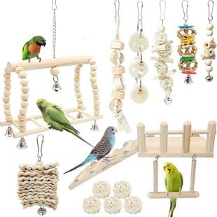 13pcs Parrot Natural Color Chewing, Climbing, Swing, Playful Entertainment and Interactive Bird Cage Accessories and Toys