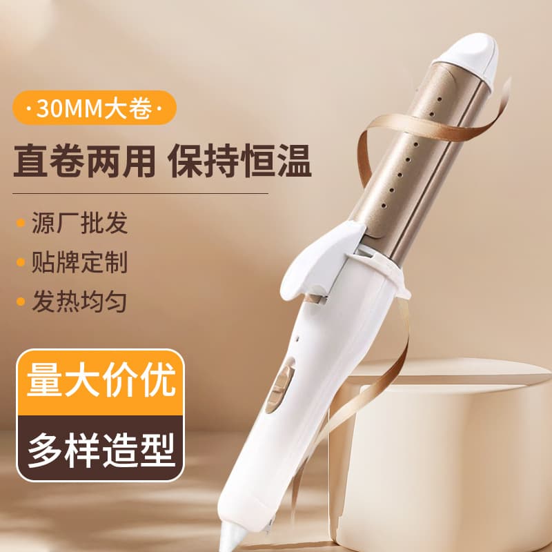 Curling and Straightening Iron 2-in-1 Negative Ion Hair Straightener Portable Automatic Wired Hair Styler Factory Wholesale