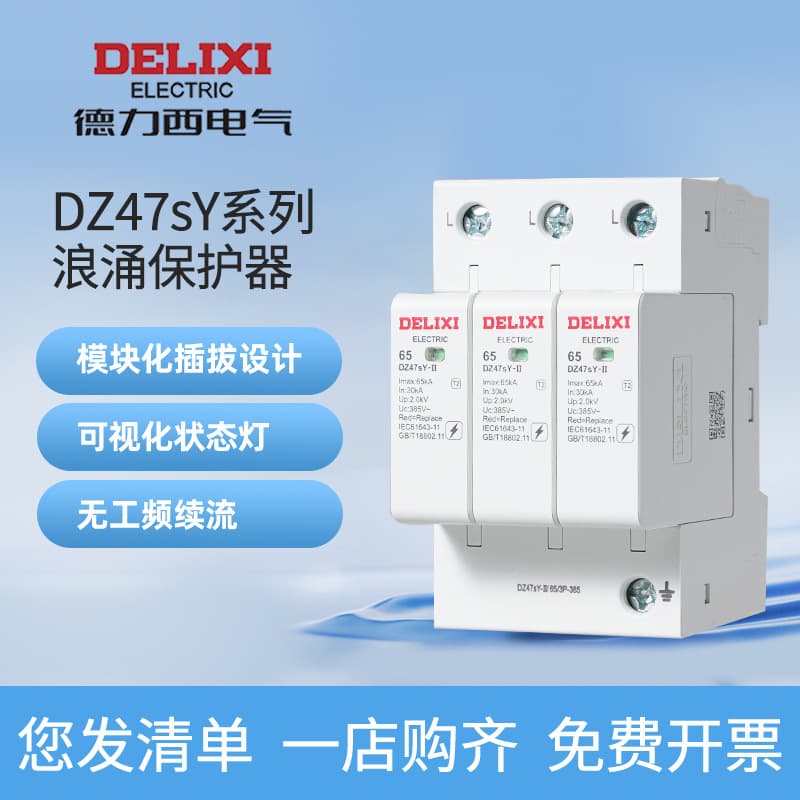 Delixi Electric DZ47SY Lightning Arrester, Secondary Power Surge Protector, Floor-Level Home Surge Switch