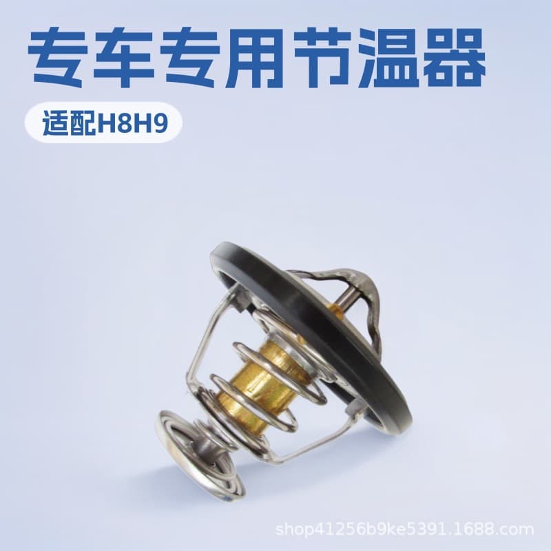 Direct from manufacturer thermostat for Great Wall Tengyi C30, Haval H1, H2, 1306100EG01.