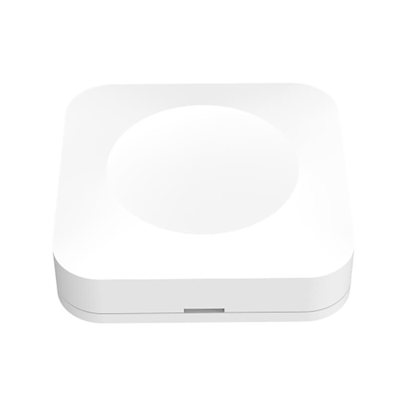 Cross-border Tuya Smart Water Leakage-Free Gateway WIFI Direct Connect Mobile APP Smart Alarm Flood Sensor
