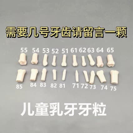 Dental Children's Tooth Models, Mixed Dentition Primary and Permanent Teeth, Simulation Resin Teeth, Tooth Preparation Loose Teeth, Full Set Primary Teeth Models Free Shipping