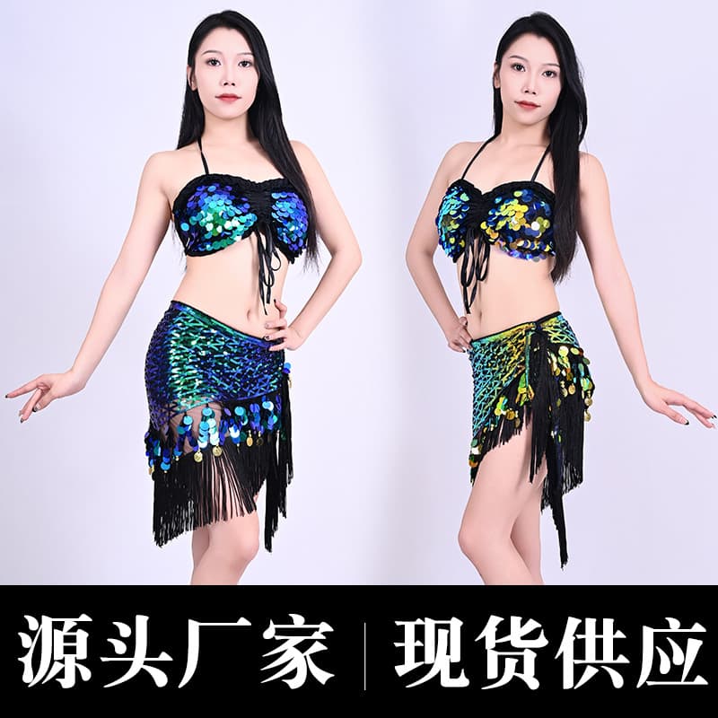 Belly dance costume with sequins and tassels, Indian waist scarf and hip scarf set, Oriental dance performance costume for nightclub stage.