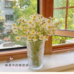 Ins Style Transparent Glass Vase for Flower Arrangement Premium Water-Raising Mini Vase Daisy Artificial Flowers Fake Flowers