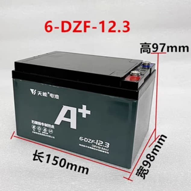 Tianneng Battery 12V12A Single Unit Electric Vehicle 12V20A Battery Inverter Plus One Battery