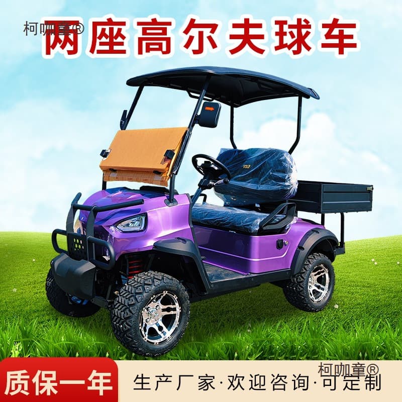 Electric Golf Cart Two-Seater with Cargo Box, Four-Six Seater Hotel Shuttle, Scenic Area Tour Sightseeing Vehicle, Metabo
