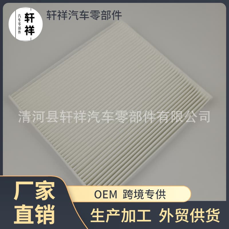 Car Air Conditioning Filter HB3B-19N619-BA Filter HB3B-19N619-AA Air Filter Special