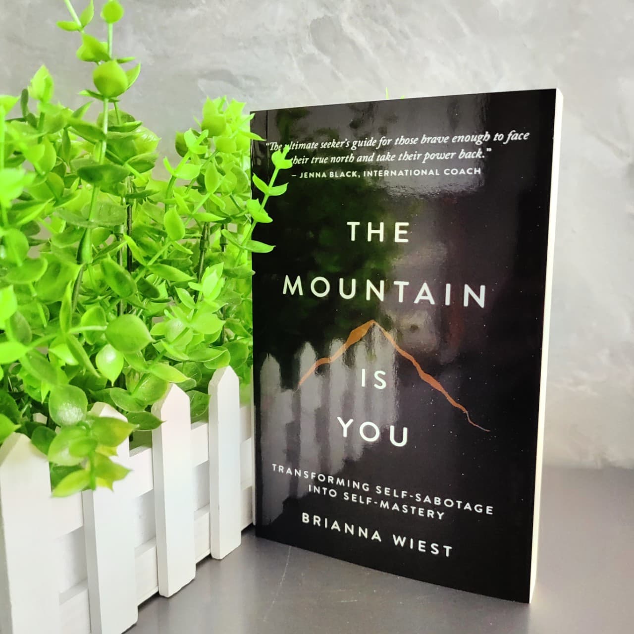 The Mountain Is You: Transforming Self (English Edition)