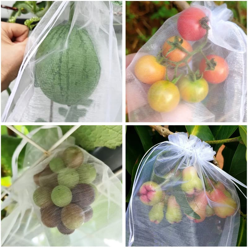Fruit bagging insect net bags, transparent mesh bags, strawberry fruit ready stock drawstring, grape insect mesh bags.