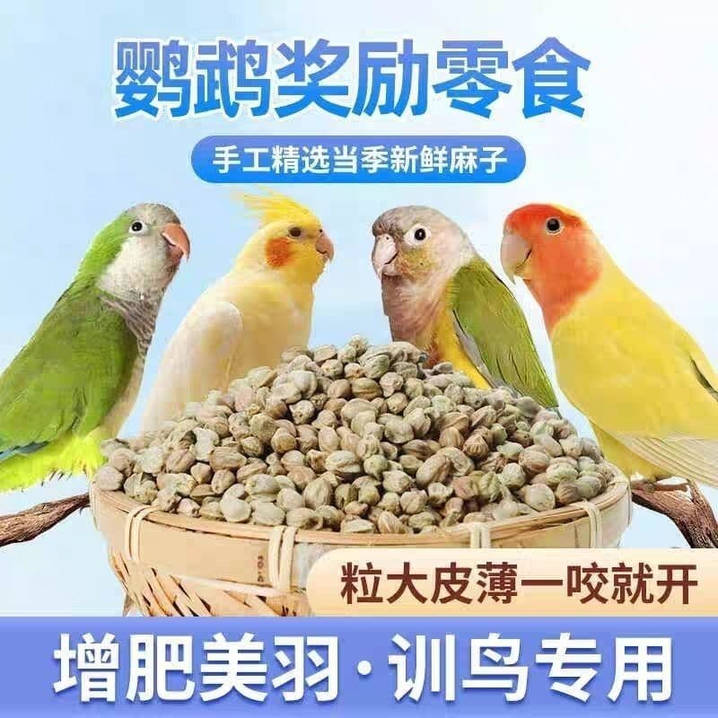 Pockmarked Parrot Food Training Reward Paper Shell Pockmarked Feed Reward Snacks Hemp Seed Bird Food Bird Food Whole Network Delivery