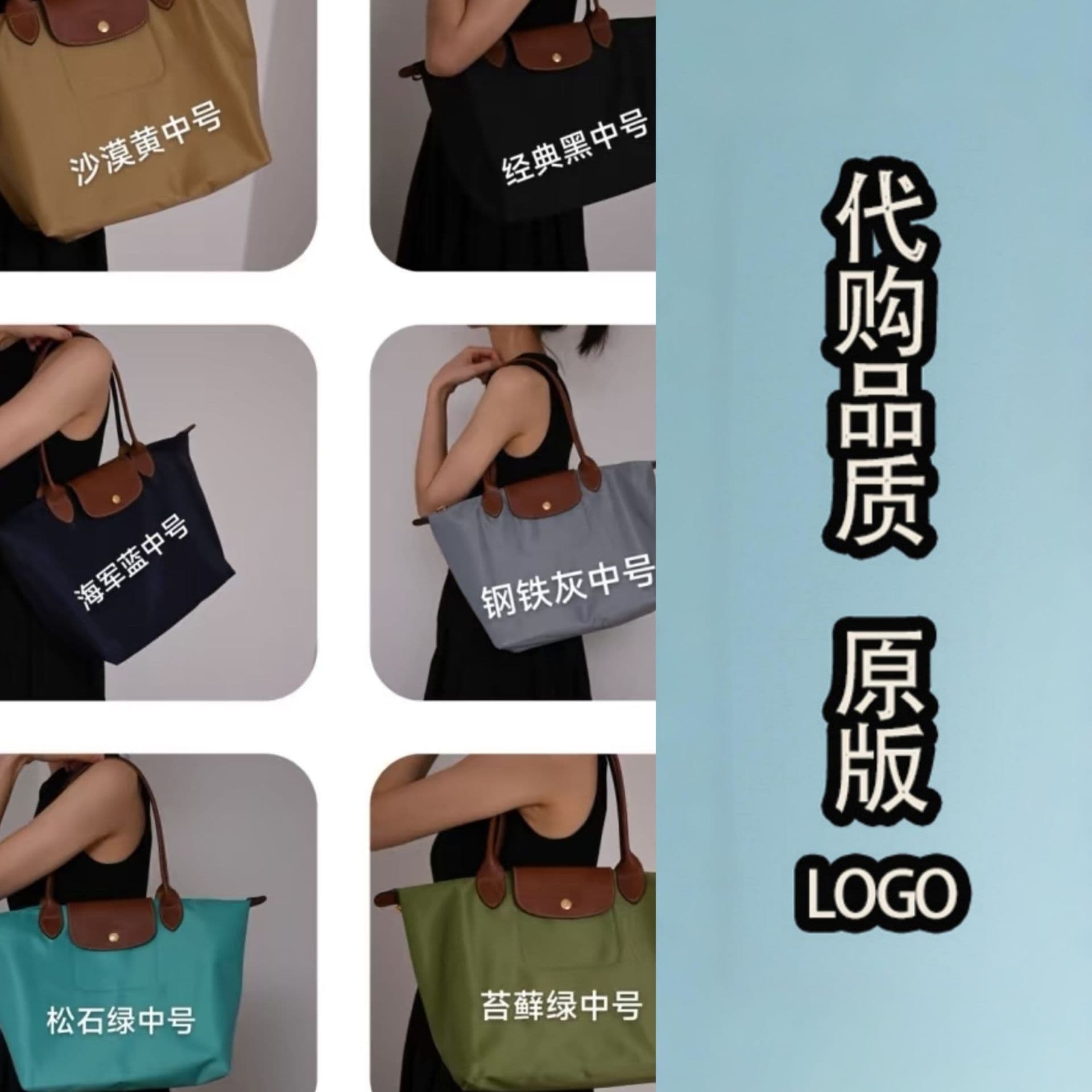 France Longxiang Bag 70th Anniversary Edition Shoulder Bag Tote Bag Dumpling Bag Mommy Bag Laptop Bag 2025 New Style