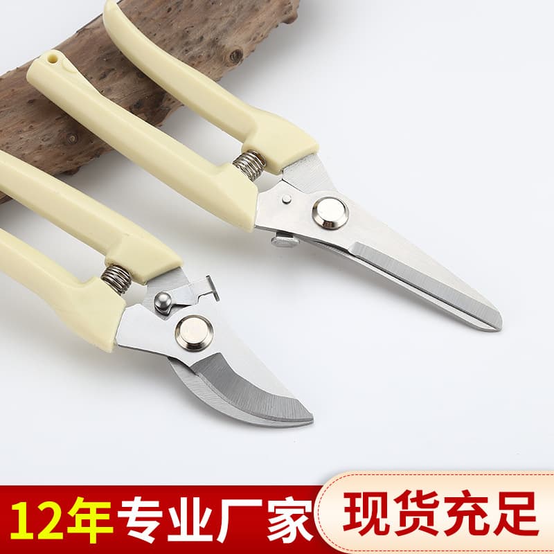 Stainless steel pruning shears for branches, pruning fruit trees, and flowering plants; gardening shears for grafting branches and flowers.