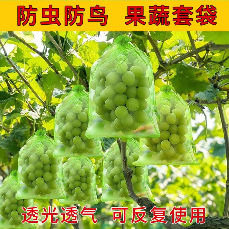 Ready stock fruit bagging insect-proof mesh bag, transparent drawstring mesh fabric grape breathable drawstring bag fruit protection mesh bag