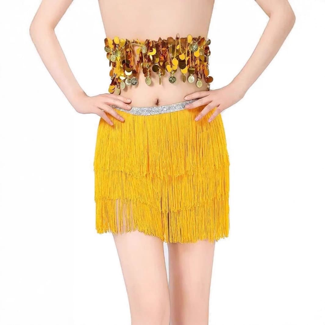 European and American belly dance encrypted tassel hip scarf waist scarf performance clothing waist chain Latin dance practice sexy tassel skirt