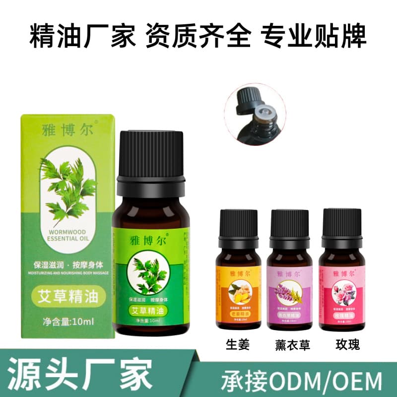 Yabor Mugwort Rose Essential Oil for Plant-Based Beauty Salon Massage, Scraping, and Meridian Activation with Ginger Massage Oil