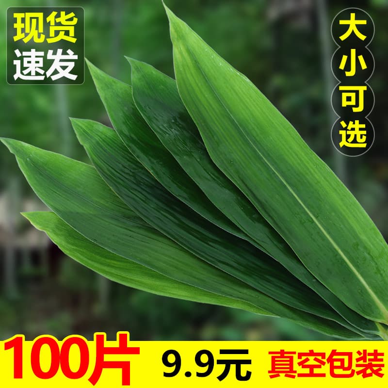 Factory supply fresh vacuum-packed bamboo leaves, Ruo leaves, Zong leaves wholesale with string, Hubei Ruo leaves dry Zong leaves