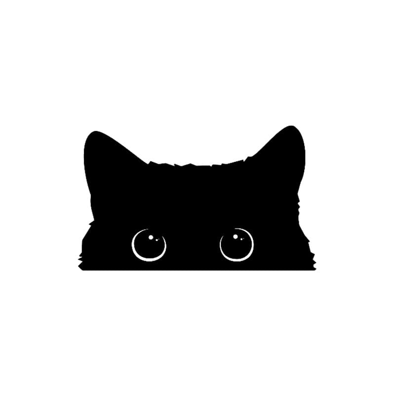 Poor Cat is Stealing Watches with Big Eyes Vinyl Car Shape Cover Waterproof PVC 15cm X 9cm