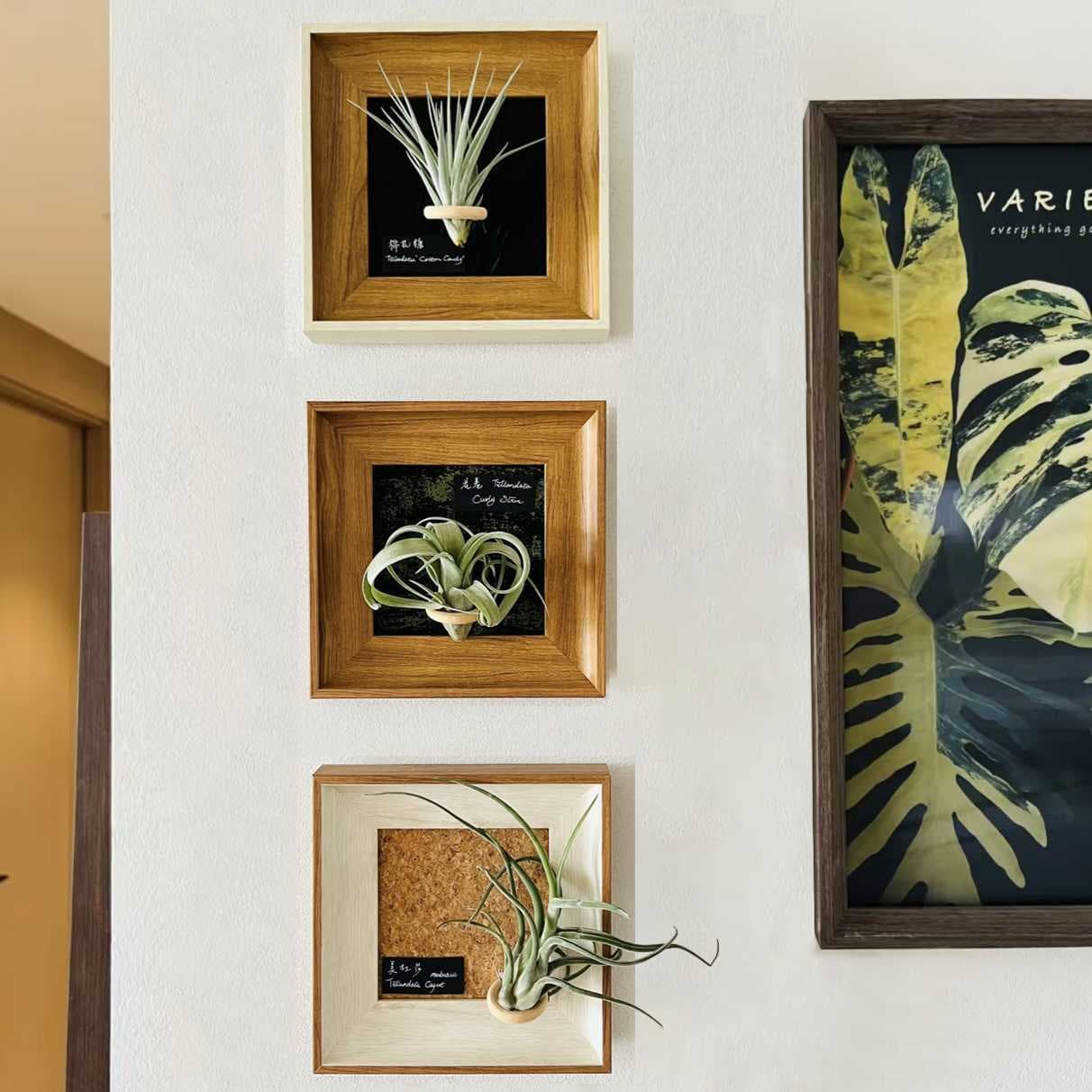 Ins Air Plant Decorative Painting for Living Room Entryway, Soft Decor Green Plant Art, Magnetic Photo Frame, Vintage Niche Style