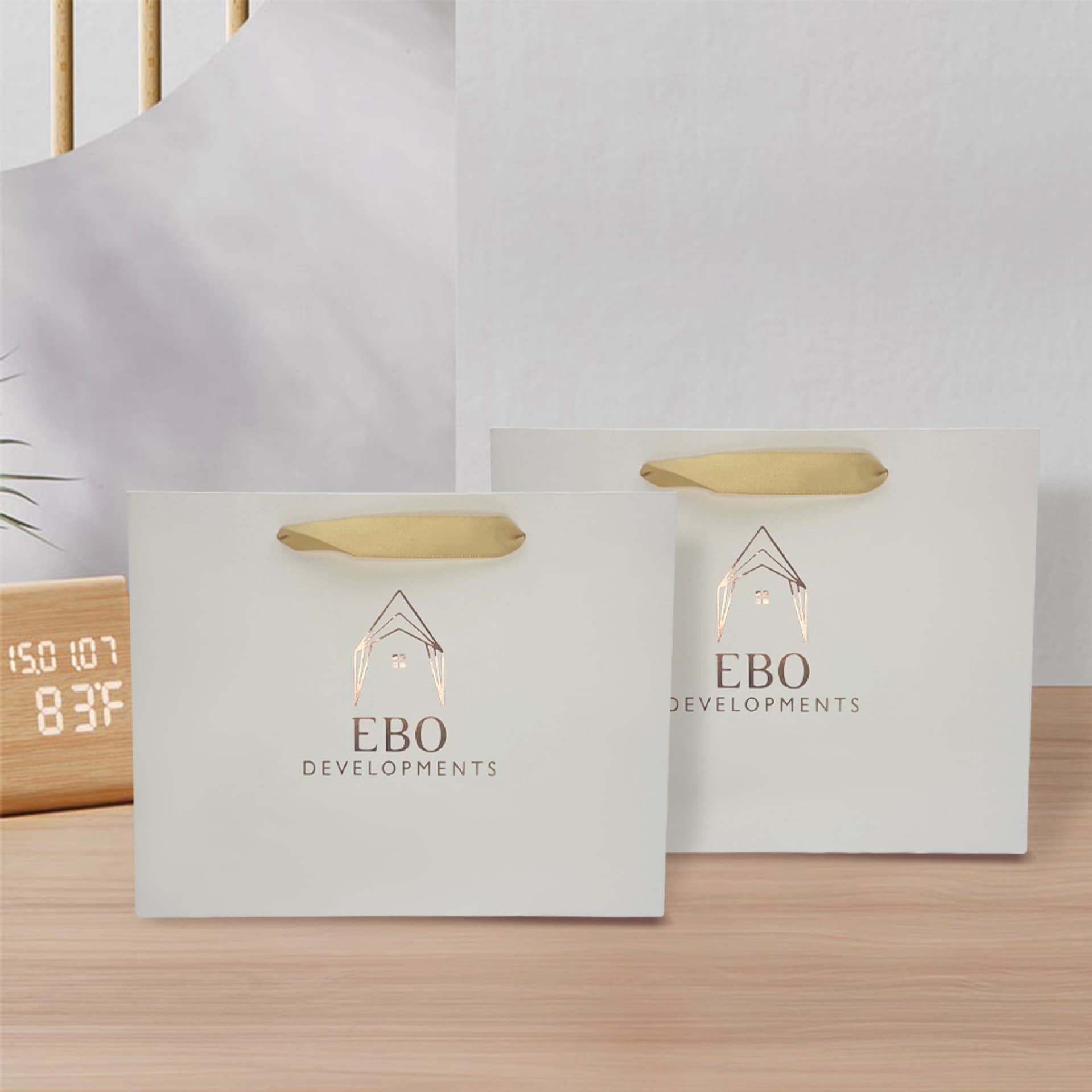 Luxury White Paper Bag with Private Label for Clothing, Magazines, Books, and Watch Packaging
