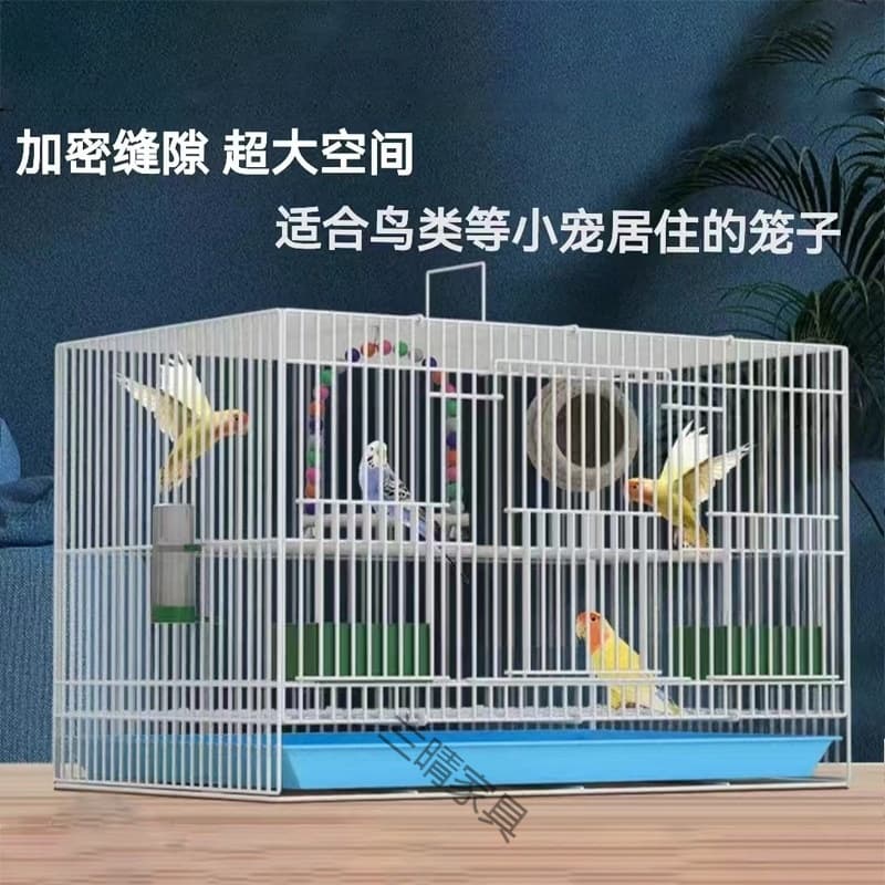 Large Metal Bird Cage Set for Parrots, Breeding Cage, Display Cage for Budgies, Lovebirds, Cockatiels, Mynah Birds