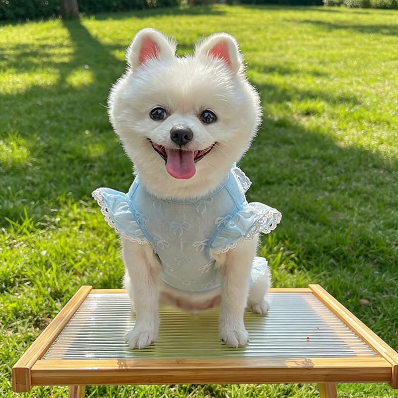 Summer New Lightweight Mesh Bowknot Dog Clothes, Pet Cat Clothing with Leash Hole, Anti-Shedding