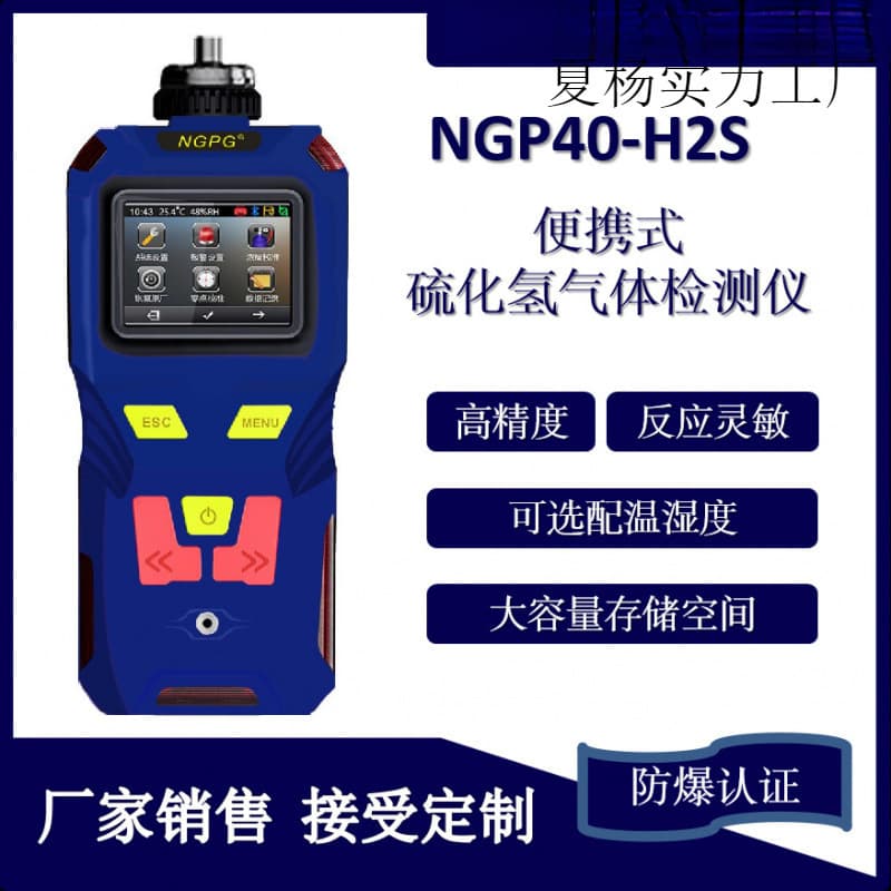 Portable Hydrogen Sulfide Detector Manufacturer Supplies Pump-Suction Type with Storage for H2S, Oxygen, Ammonia Smart Gas Detection