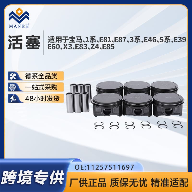 Pistons & Rings Set for BMW 330i 530i X5 E46 E53 E60 E85