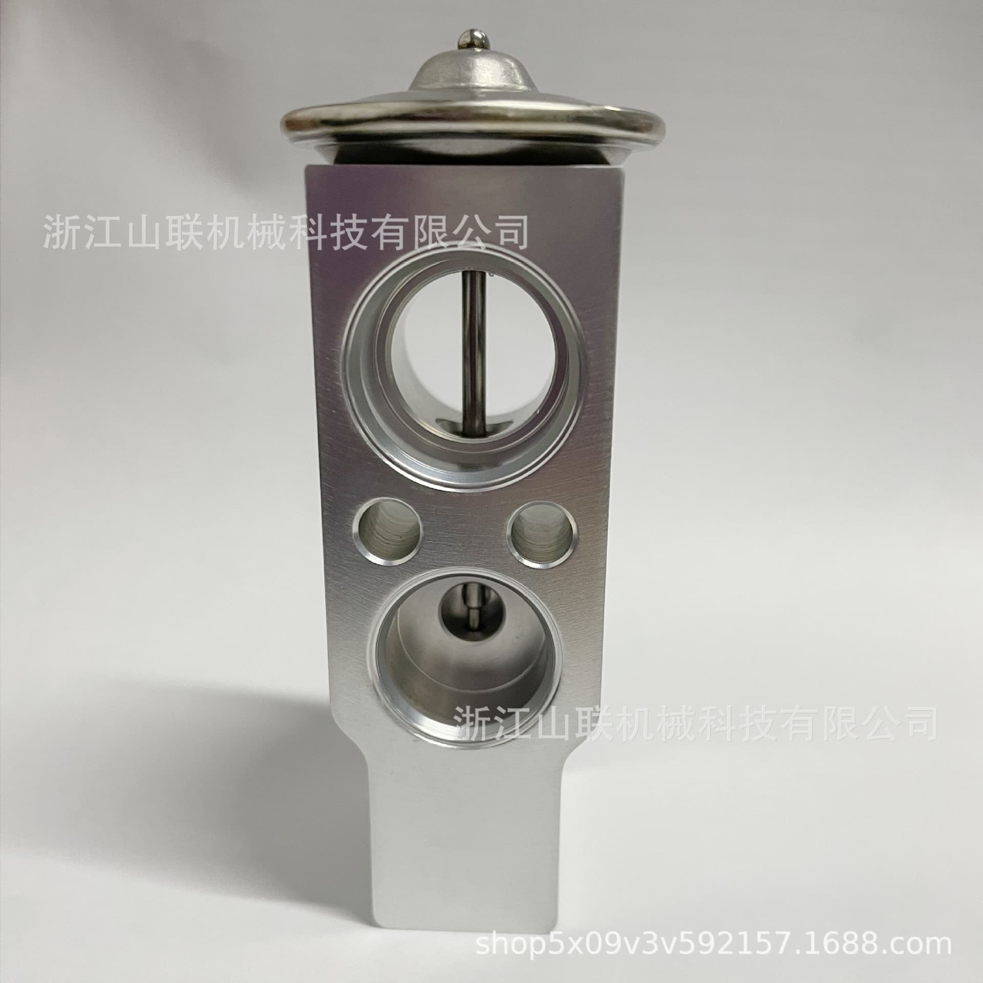 Camry Expansion Valve, Automotive A/C Parts, Suitable for Howo Light Truck Multiple Models, Steam Machine Coolant Valve